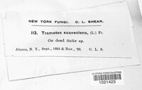 Image Associated With the Occurence